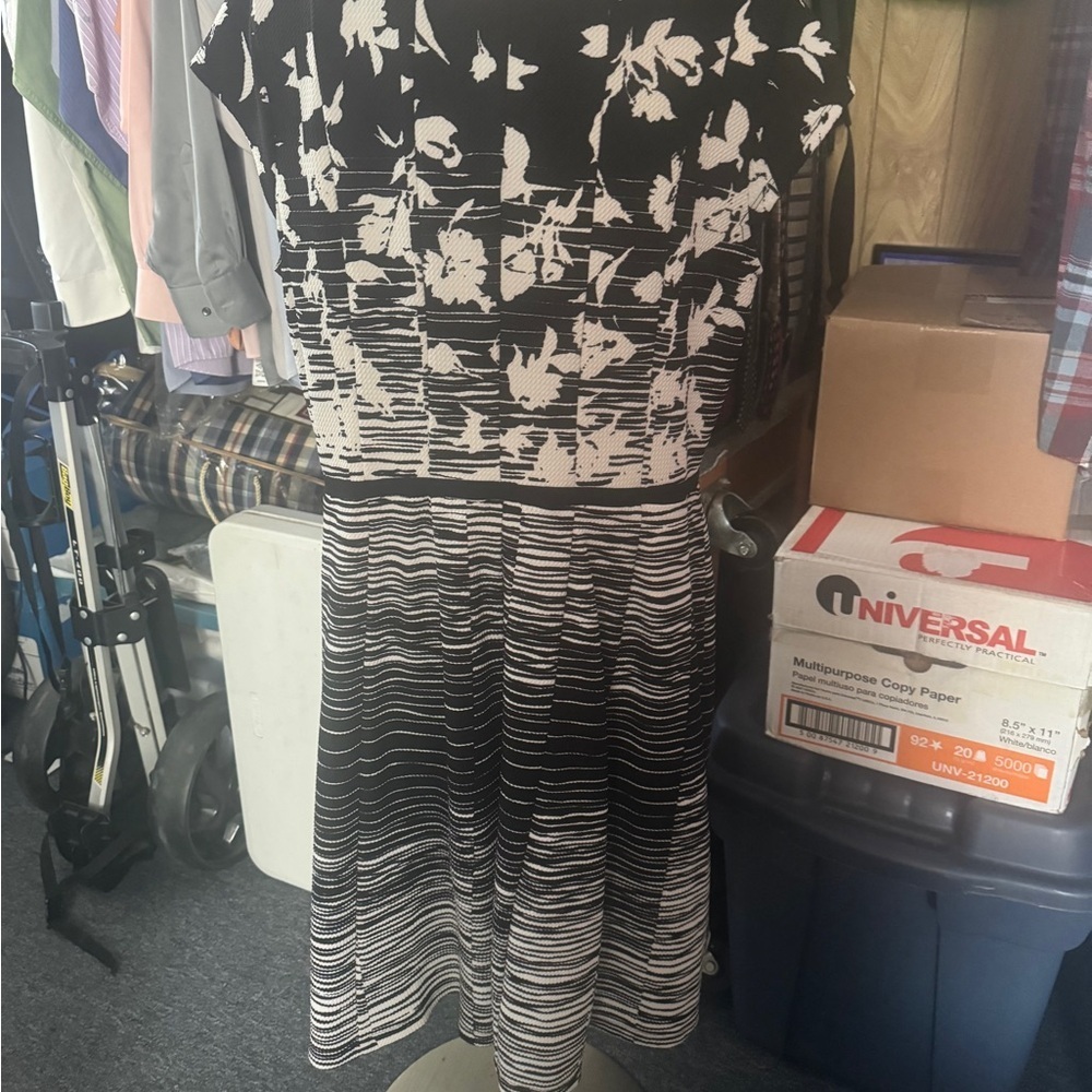 Elle Black and White Midi Dress - Picture 8 of 13